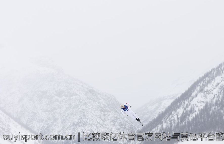 比较欧亿体育官方网站与其他平台的登录策略
